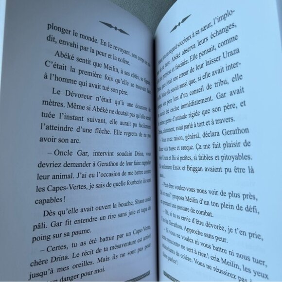 FRENCH ~ Animal Totem ~ 6 ~ La chute - Picture 3 of 6